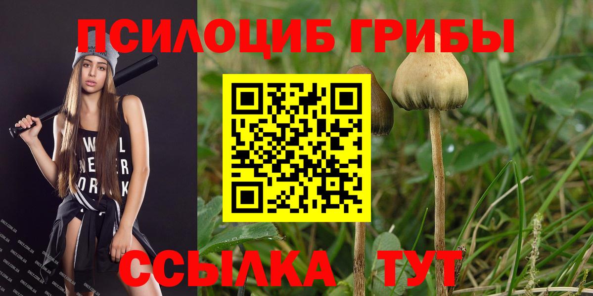 Кимовск  Галлюциногенные грибы мицелий  Вход с VPN  Галлюциногенные грибы Cubensis 