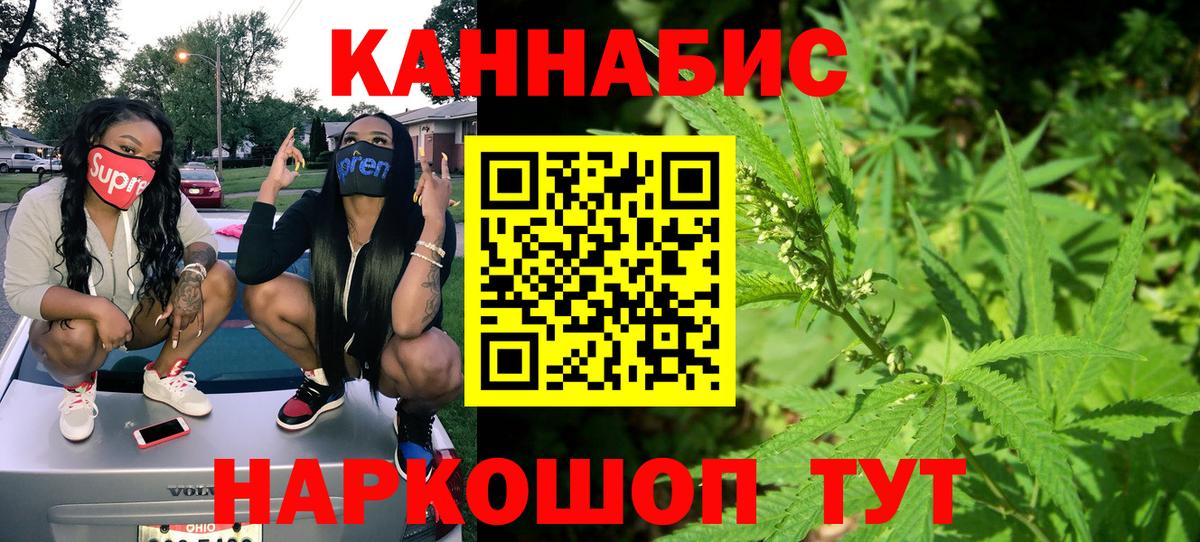 Конопля MAZAR  Каннабис OG Kush  Вход с VPN  Кимовск  Бошки марихуана сатива  Марихуана план 